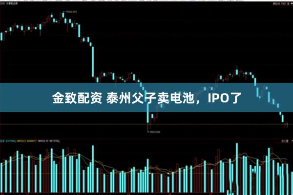 金致配资 泰州父子卖电池，IPO了