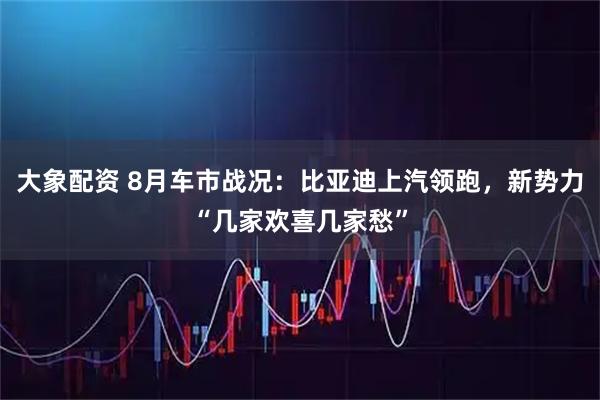 大象配资 8月车市战况：比亚迪上汽领跑，新势力“几家欢喜几家愁”