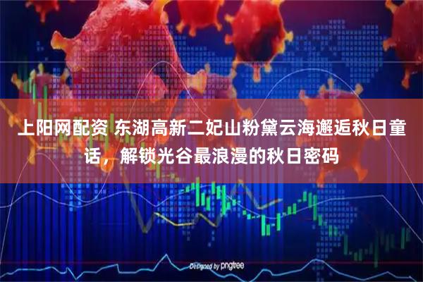 上阳网配资 东湖高新二妃山粉黛云海邂逅秋日童话，解锁光谷最浪漫的秋日密码
