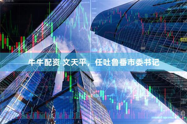 牛牛配资 文天平，任吐鲁番市委书记