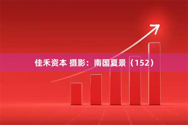 佳禾资本 摄影：南国夏景（152）